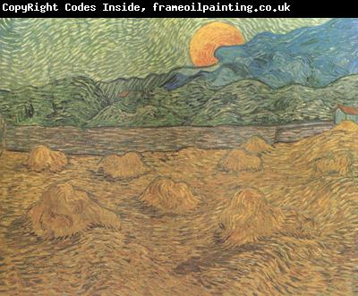 Vincent Van Gogh Evening Landscape with Rishing Moon (nn04)